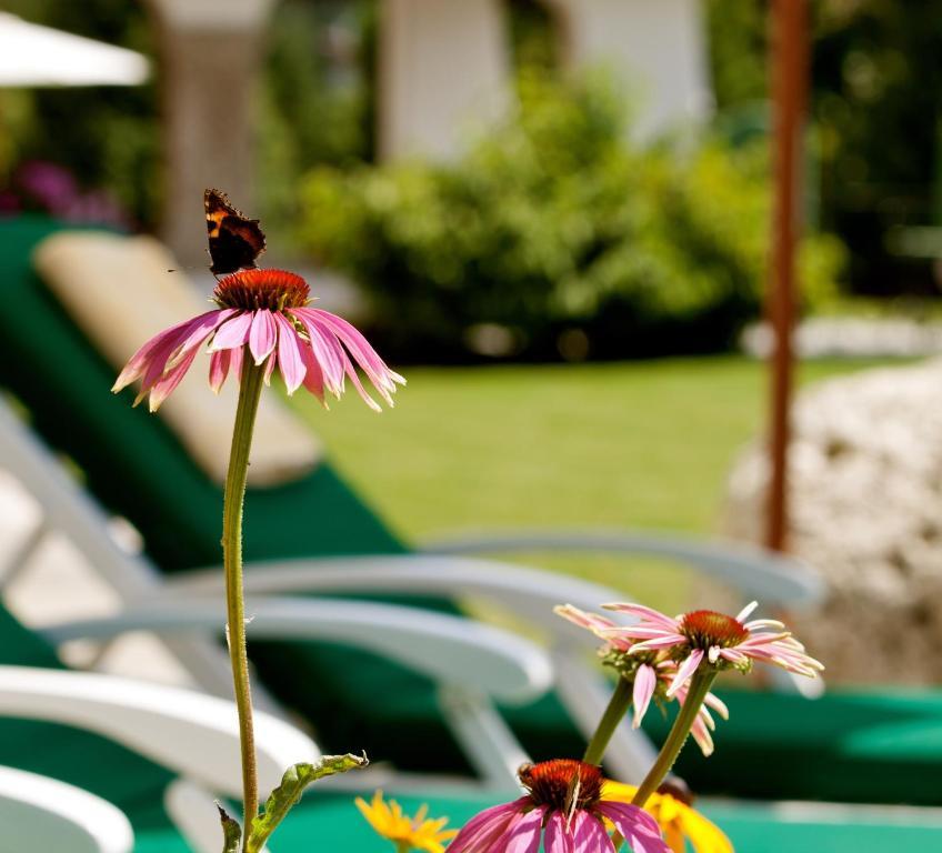 Hotel Laerchenhof Natur Seefeld in Tirol Cameră foto